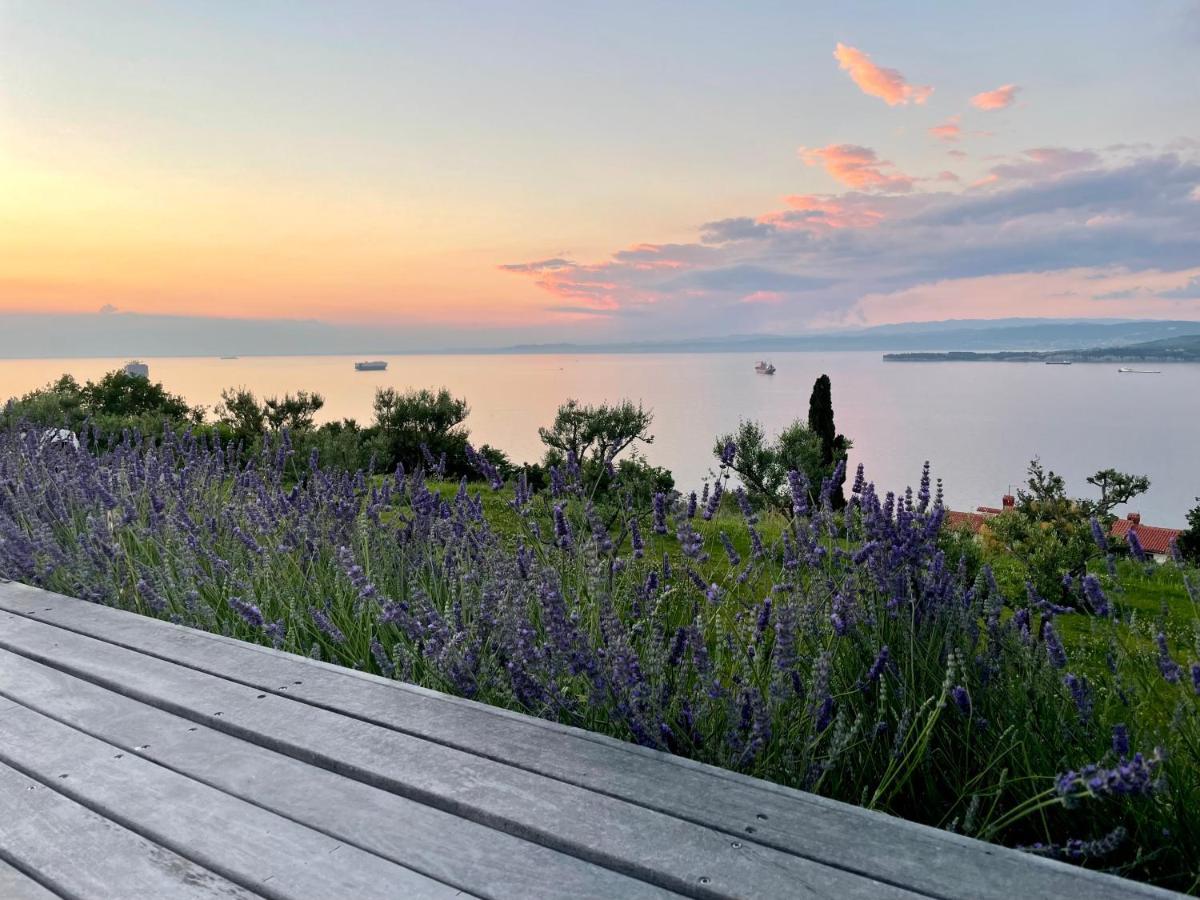 Villa The View Κόπερ Εξωτερικό φωτογραφία